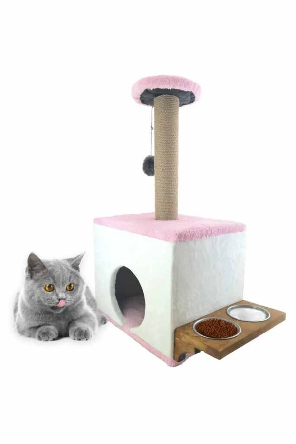 Cubic Cat House with Bowls