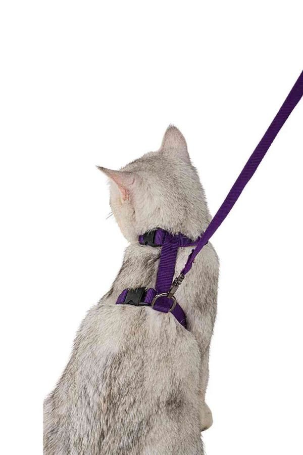 Cat Chest Collars - Image 2