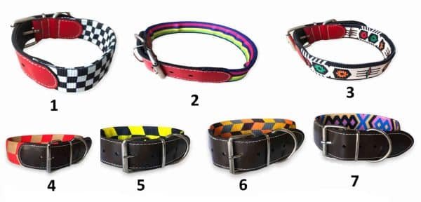 Leather+Webbing Collars