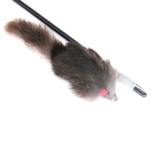 Mouse with Rod