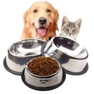 Cat and Dog Bowls