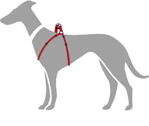 Nunbell Harnais pour Chien – Image 3