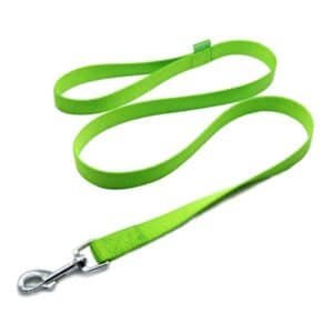 Pet Walking Mini Leash