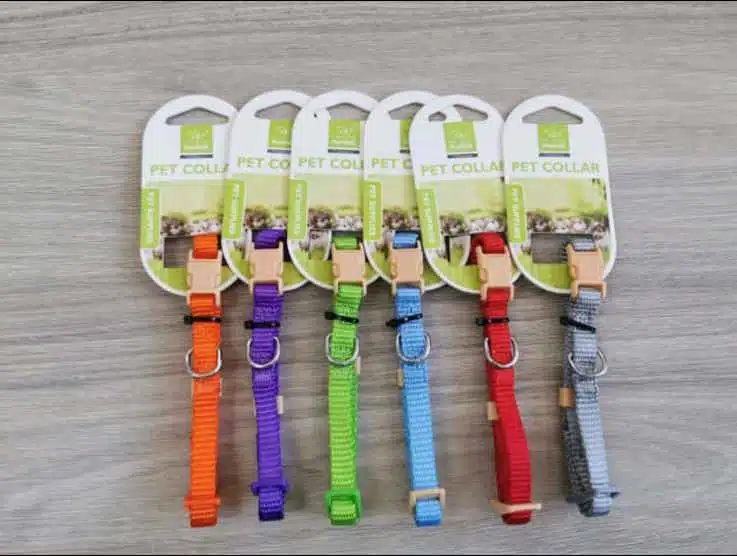 Haustier Mini-Halsband