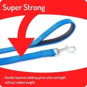 Soft Handle Leash