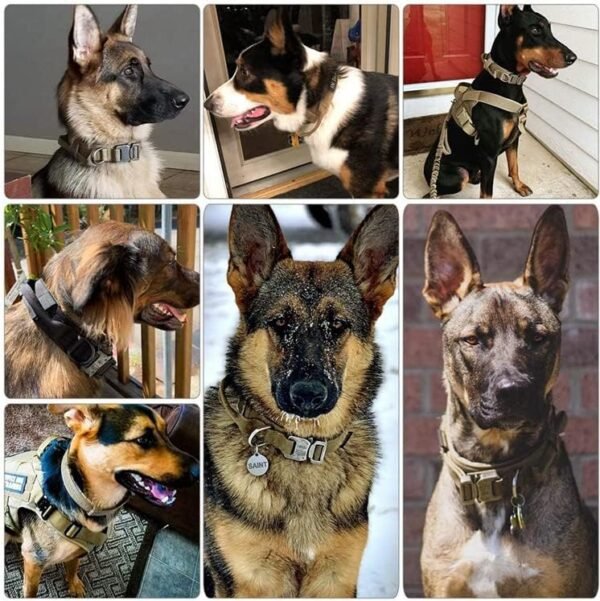 Tactical Dog Leash - Image 6