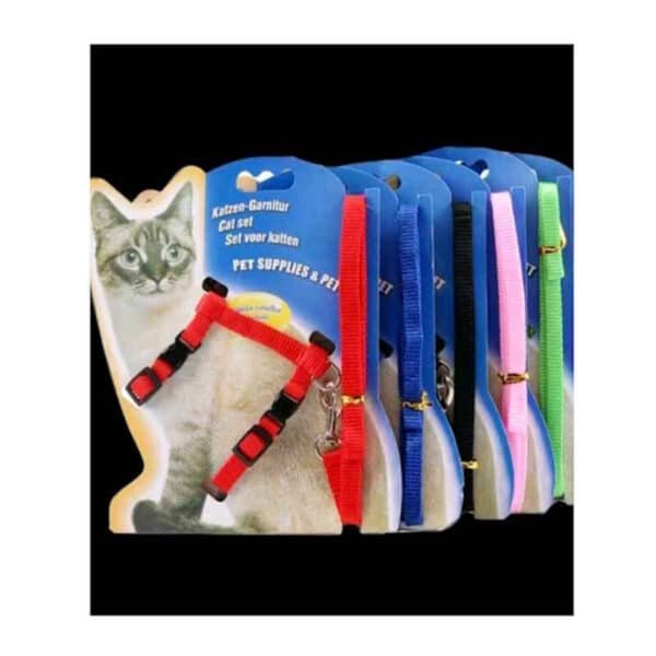 Chest Collar and Leash Set