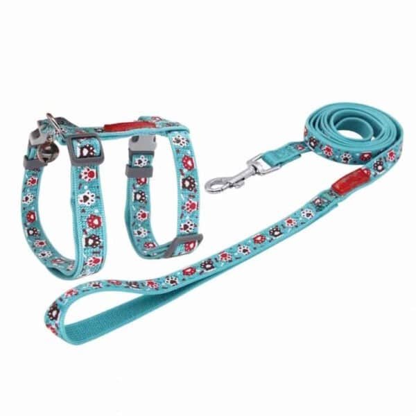 Pet Collar and Leash Set - Image 2