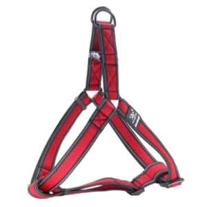 Nunbell Chest Collar Soft