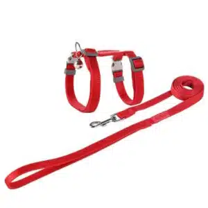 Ensemble collier et laisse pour animaux de compagnie