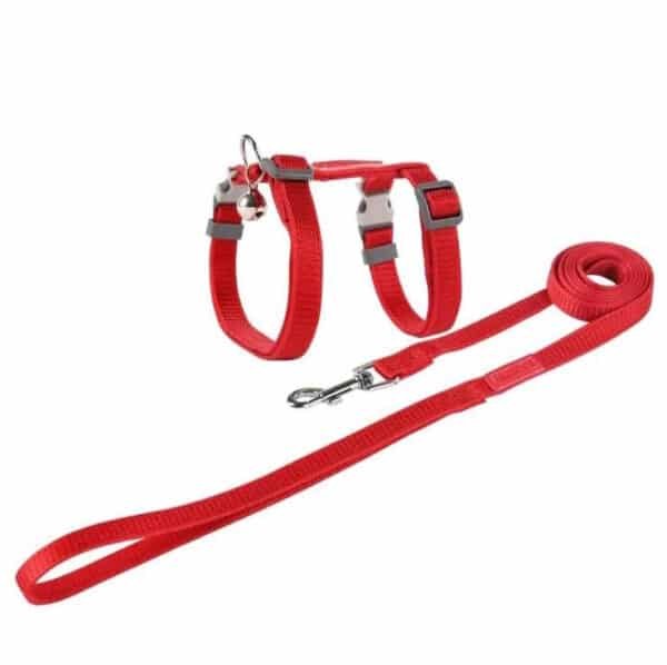 Pet Collar and Leash Set