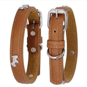 Leather Dog Collar with Metal Ornaments