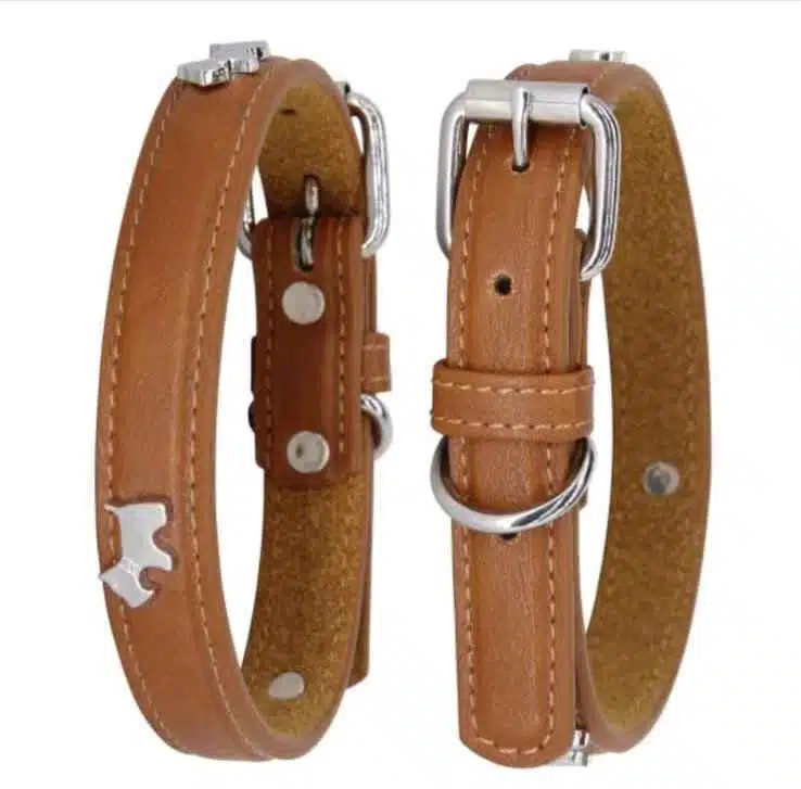 Collier pour chien en cuir avec ornements en métal