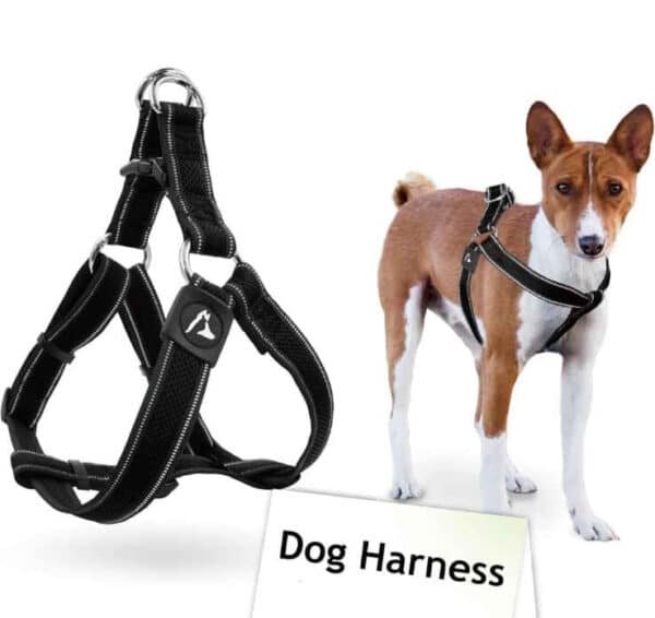 Nunbell Chest Collar Soft - Image 3