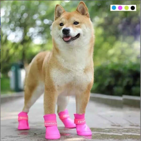 Silicone Dog Shoes - Image 3