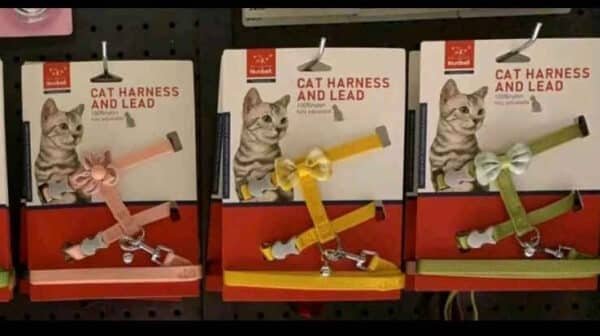 Nunbell Cat Harness & Leash - Image 2