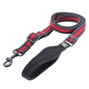 Nunbell Pet Dog Leash