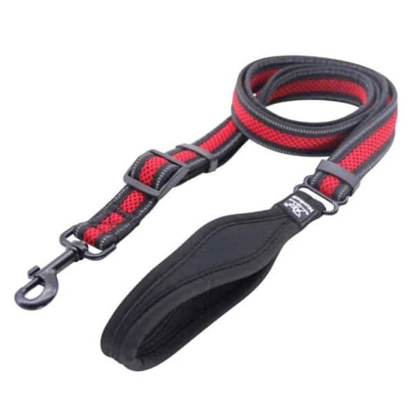 Nunbell Pet Dog Leash