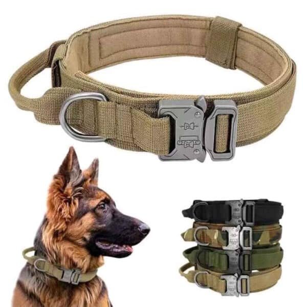 Tactical Dog Leash