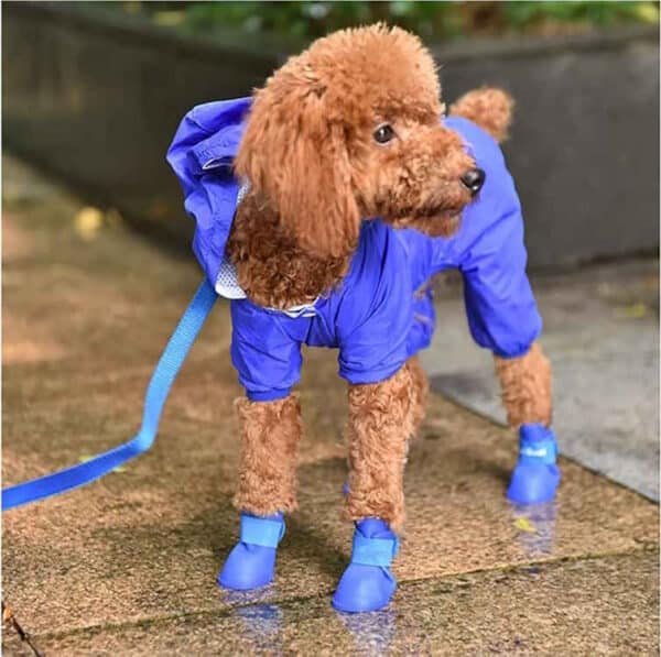 Silicone Dog Shoes - Image 5