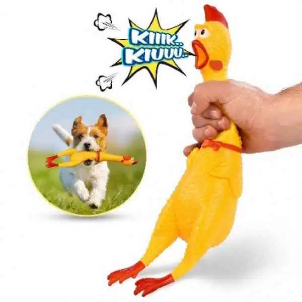Schreiendes Huhn Spielzeug