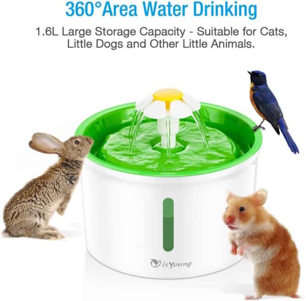 Pet Fountain - Image 5