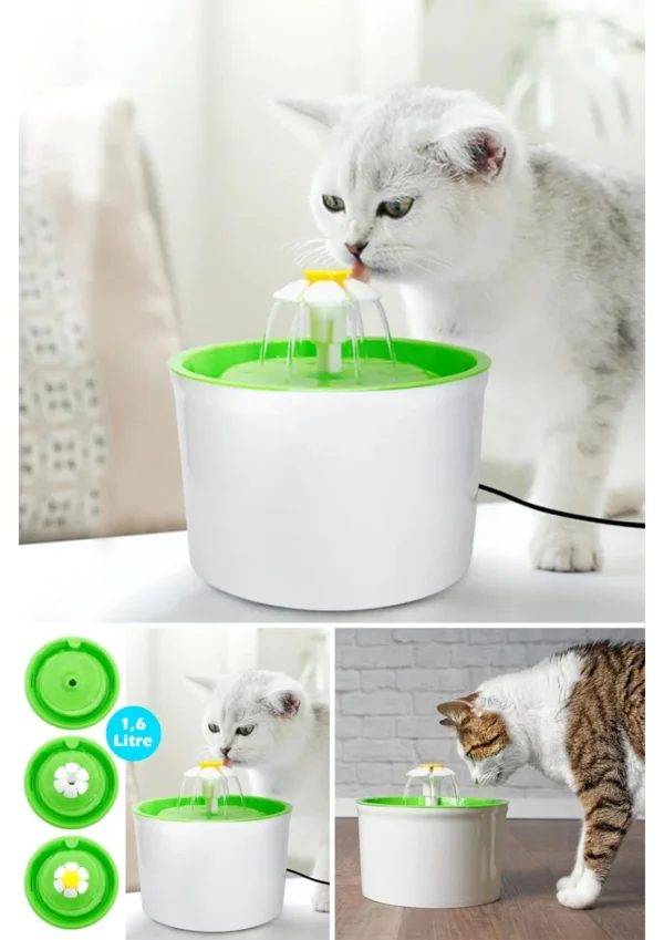 Pet Fountain - Image 3