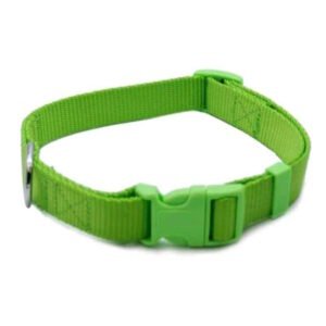 Green Nylon Collar