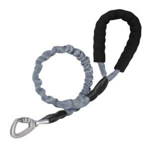 Stretchy Dog Leash