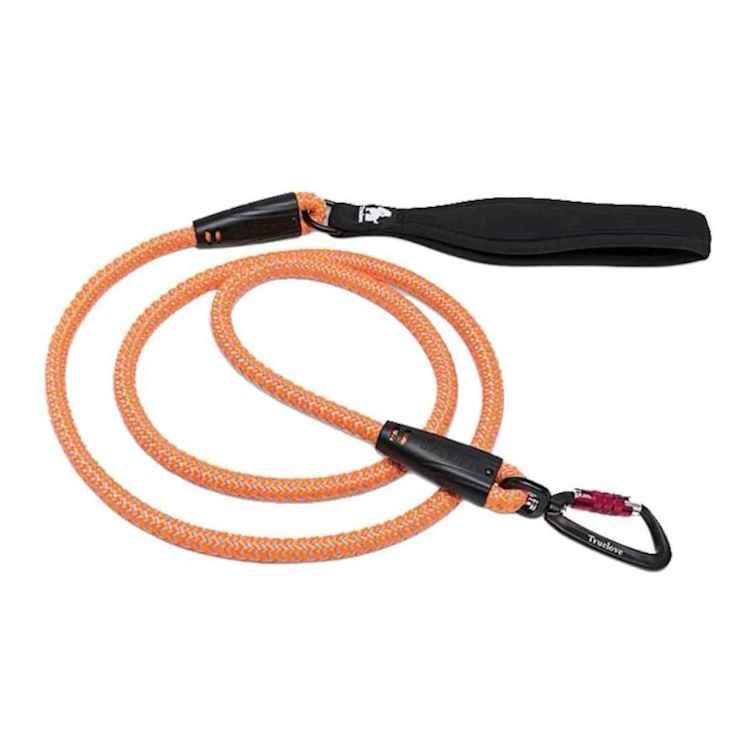 Erős póráz kutyáknak